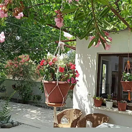 Garden-view *