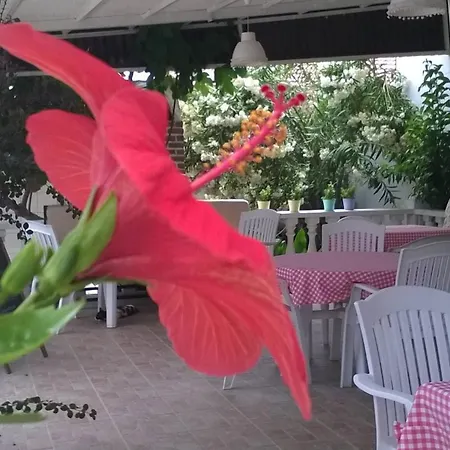 Garden-view Lejlighed Ortaca (Mugla)