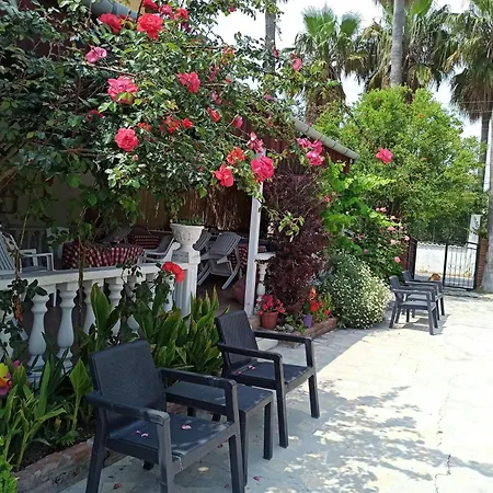 Garden-view