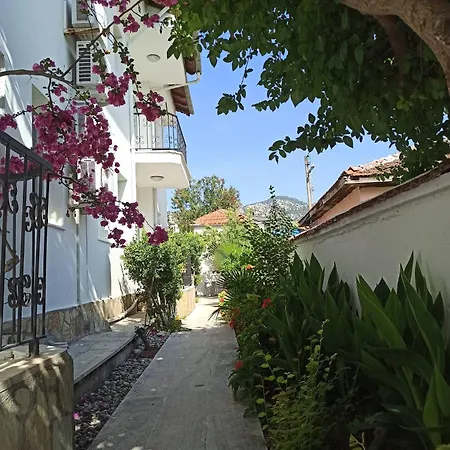 Garden-view *