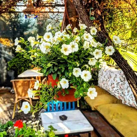 Lejlighed Garden-view