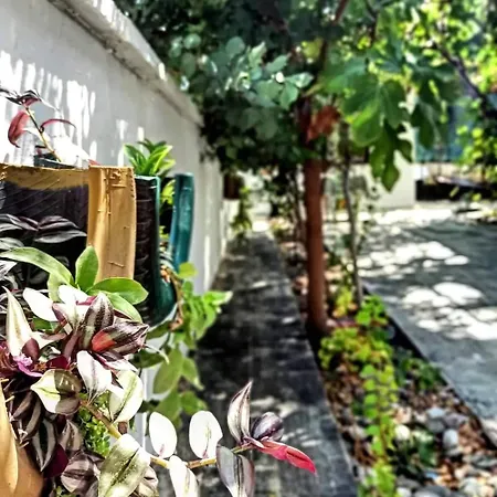 Garden-view * Ortaca (Mugla)